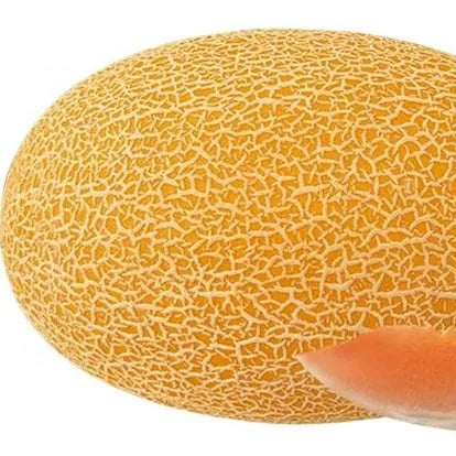 Mid Early Maturity, Crispy And Refreshing Texture, Disease Resistant Melon – Heirloom, Non-GMO, High Germination Organic Garden Seeds