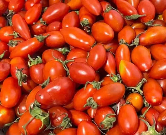 Mid Early Maturity, Disease Resistant, Oblong Shape High Content Of Lycopene Tomato heirloom non-gmo organic garden seeds