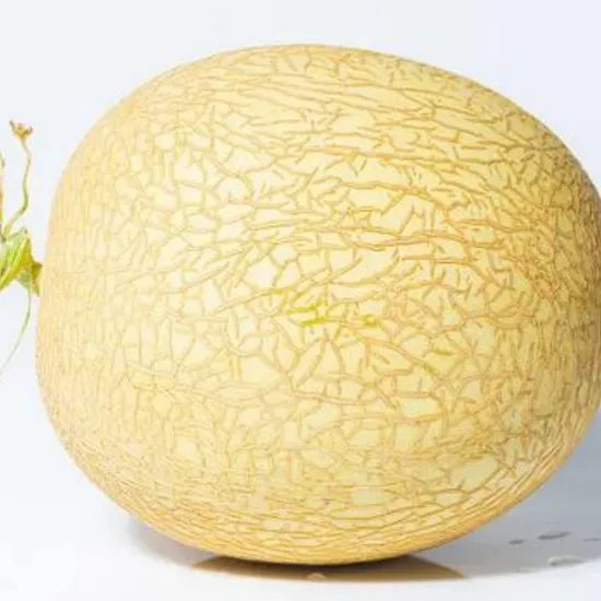 Mid Early Maturity, Good Disease Resistance And Adaptability, Excellent Quality Melon heirloom non-gmo organic garden seeds