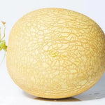 Mid Early Maturity, Good Disease Resistance And Adaptability, Excellent Quality Melon heirloom non-gmo organic garden seeds
