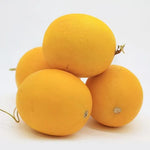 Mid Early Maturity, Strong Disease Resistance, Resistant To Storage And Transportation Melon heirloom non-gmo organic garden seeds