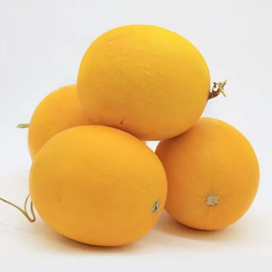 Mid Early Maturity, Strong Disease Resistance, Resistant To Storage And Transportation Melon heirloom non-gmo organic garden seeds