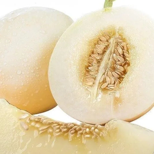 Mid Early Maturity, Transportation Resistance, Storage Melon heirloom non-gmo organic garden seeds