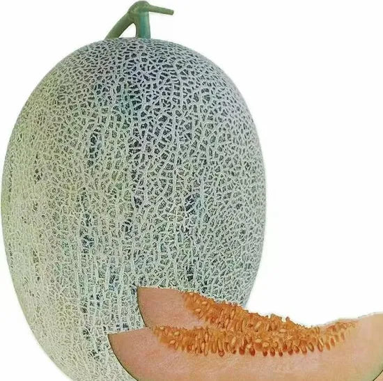 Mid Maturity, Durable To Storage And Transportation, Good Resistance Melon heirloom non-gmo organic garden seeds
