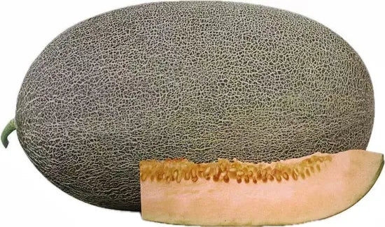 Mid Maturity, Good Disease Resistance, High Quality Melon – Heirloom, Non-GMO, High Germination Organic Garden Seeds
