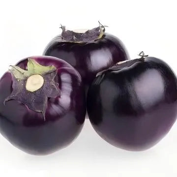 Mid Maturity Hybrid Round Shape Eggplant For Sowing heirloom non-gmo organic garden seeds