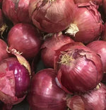 Mid Maturity Purplish Red Hybrid Good Disease Resistance Onion heirloom non-gmo organic garden seeds