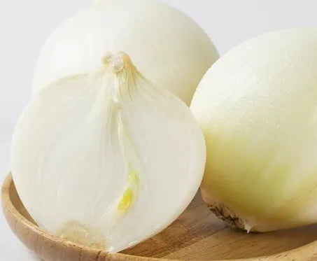Mid Maturity White Strong Disease Resistance Hybrid Onion heirloom non-gmo organic garden seeds