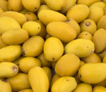 Manilkara kauki fruit seeds