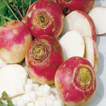 heirloom-tender-sweet-purple-rutabaga-seeds


