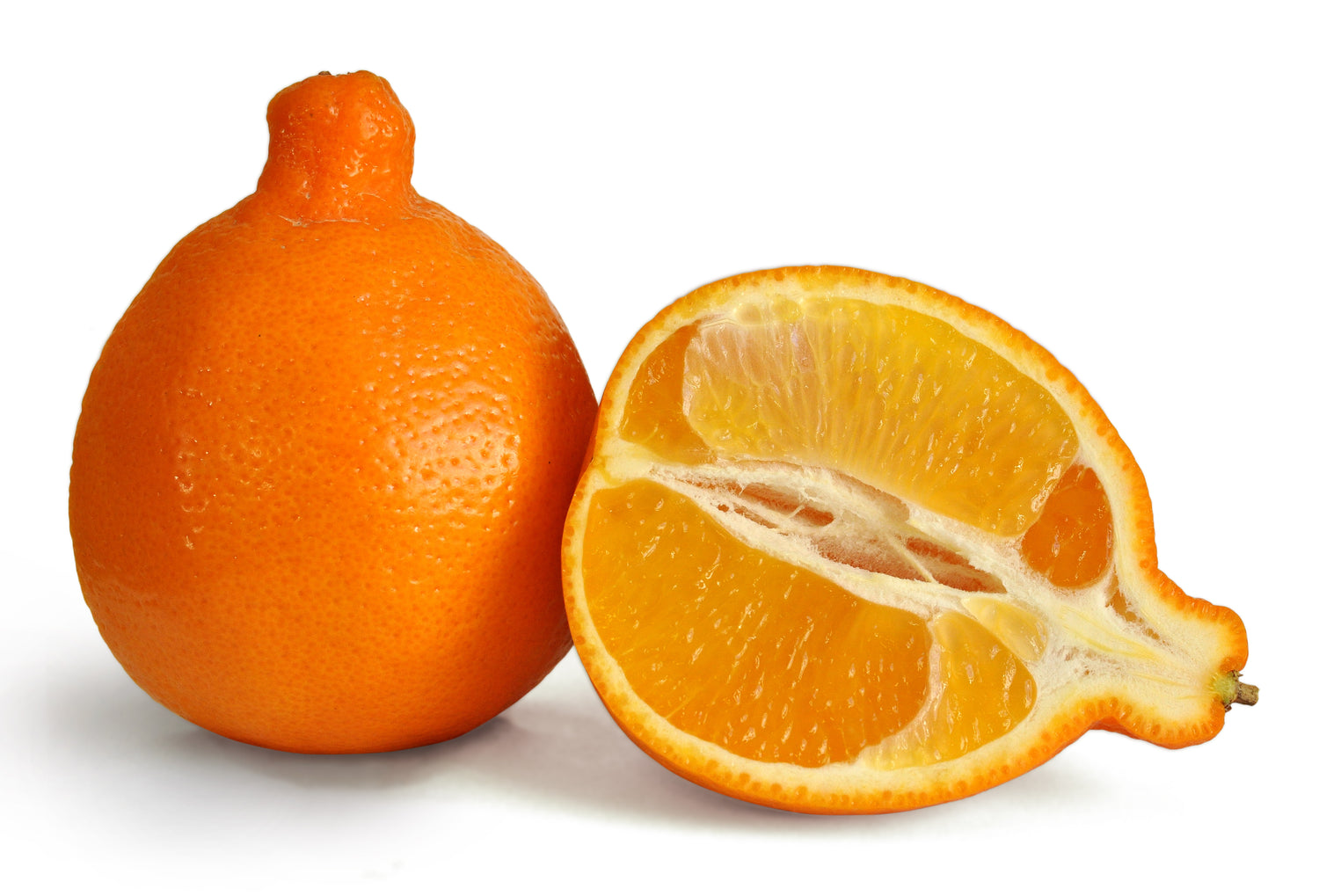 Tangelo – The Sweet and Tangy Citrus Hybrid