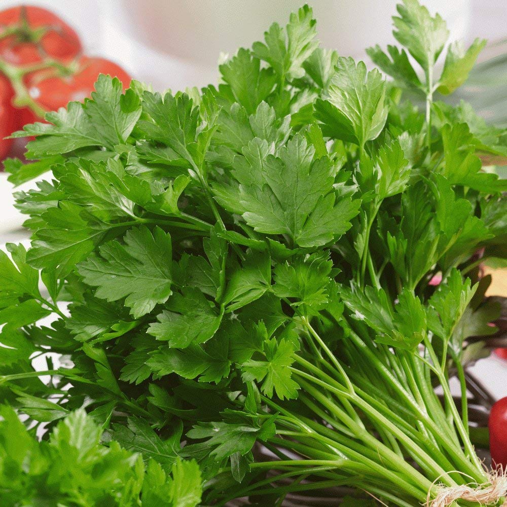 High-quality Mitsuba Japanese Parsley Heirloom herb seeds for planting