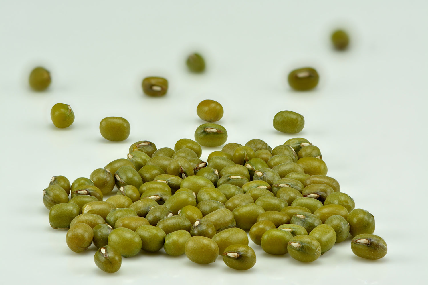 Mung Bean Seeds for Planting