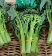 Nutrient Rich Mid Early Maturity Broccolini For Sowing – Heirloom, Non-GMO, High Germination Organic Garden Seeds