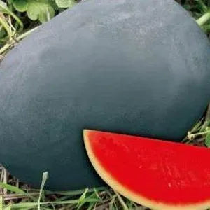 Oblong Shape Watermelon For Sowing heirloom non-gmo organic garden seeds