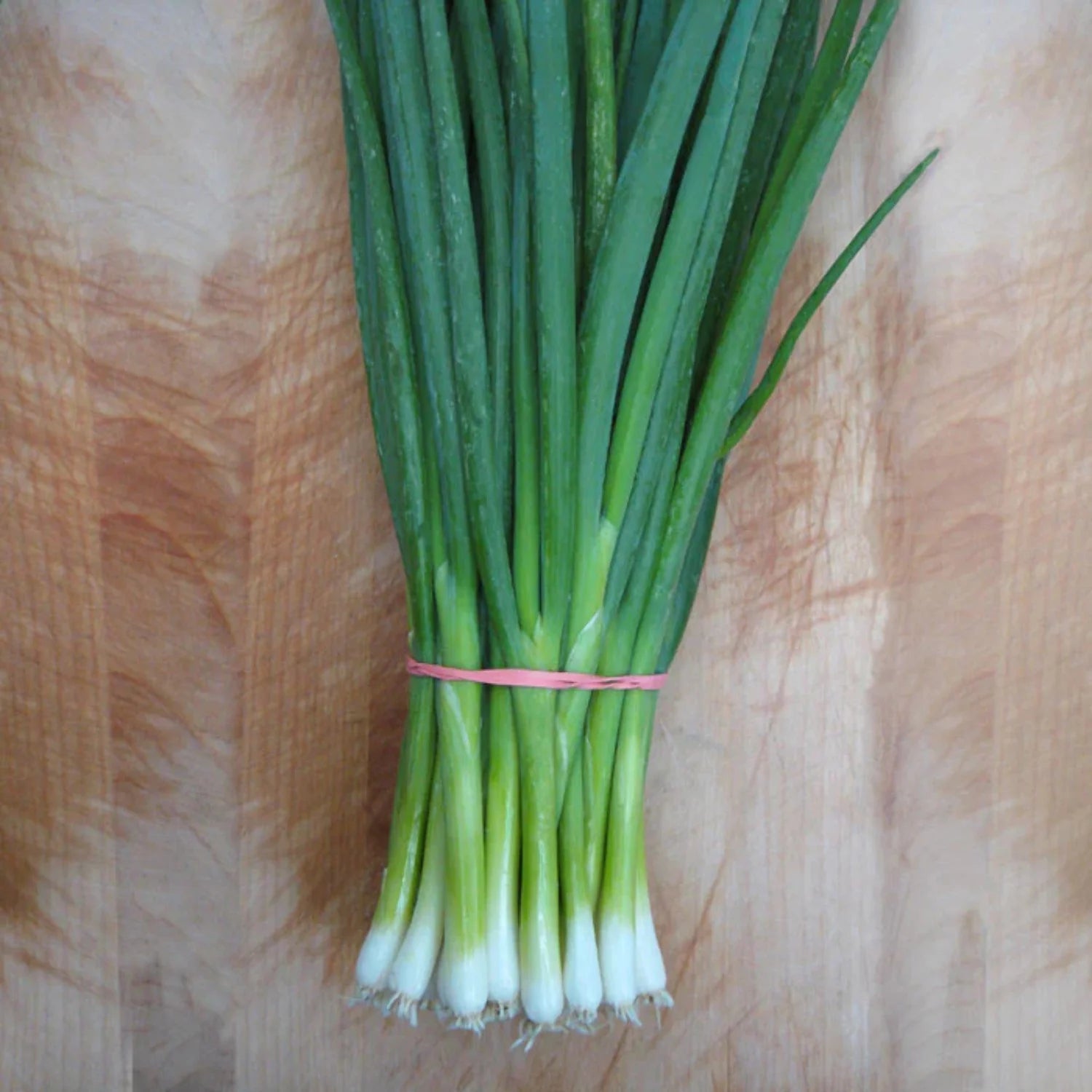 Parade Green Onion Seeds