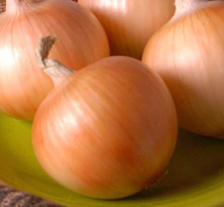 Onion Allium Cepa Texas Grano 1015Y Vegetable Seeds for Planting – Sweet Variety for Home Garden and Culinary Use