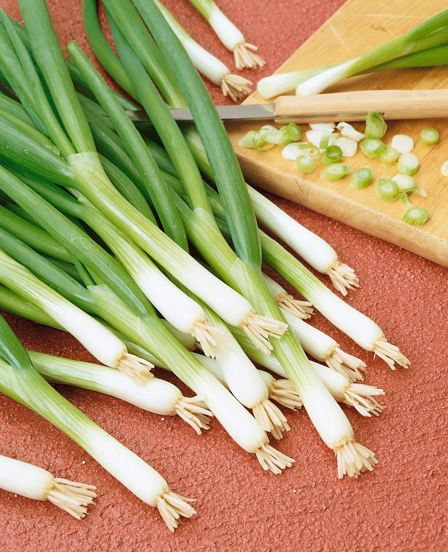 Parade Green Onion Organic Seeds