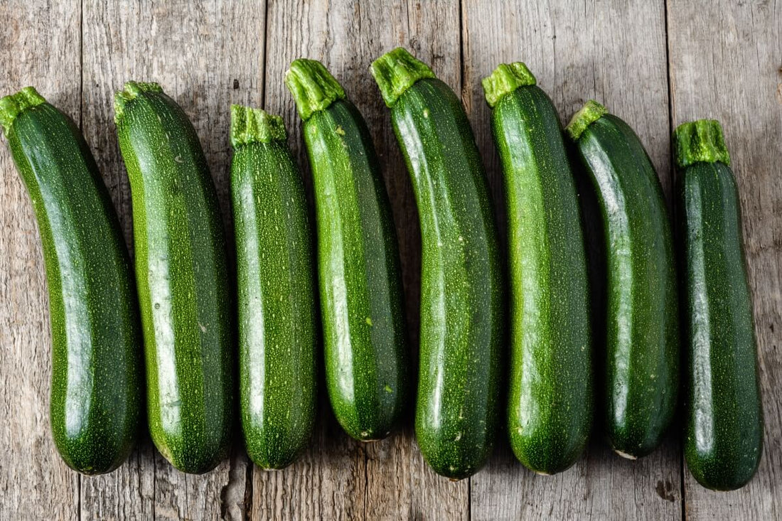 Zucchini Seeds (Cucurbita pepo / Common Name: Zucchini or Courgette)