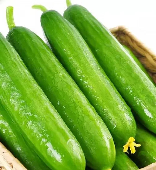 Organic Dutch Cucumber For Fresh And Crunchy Harvests heirloom non-gmo organic garden seeds