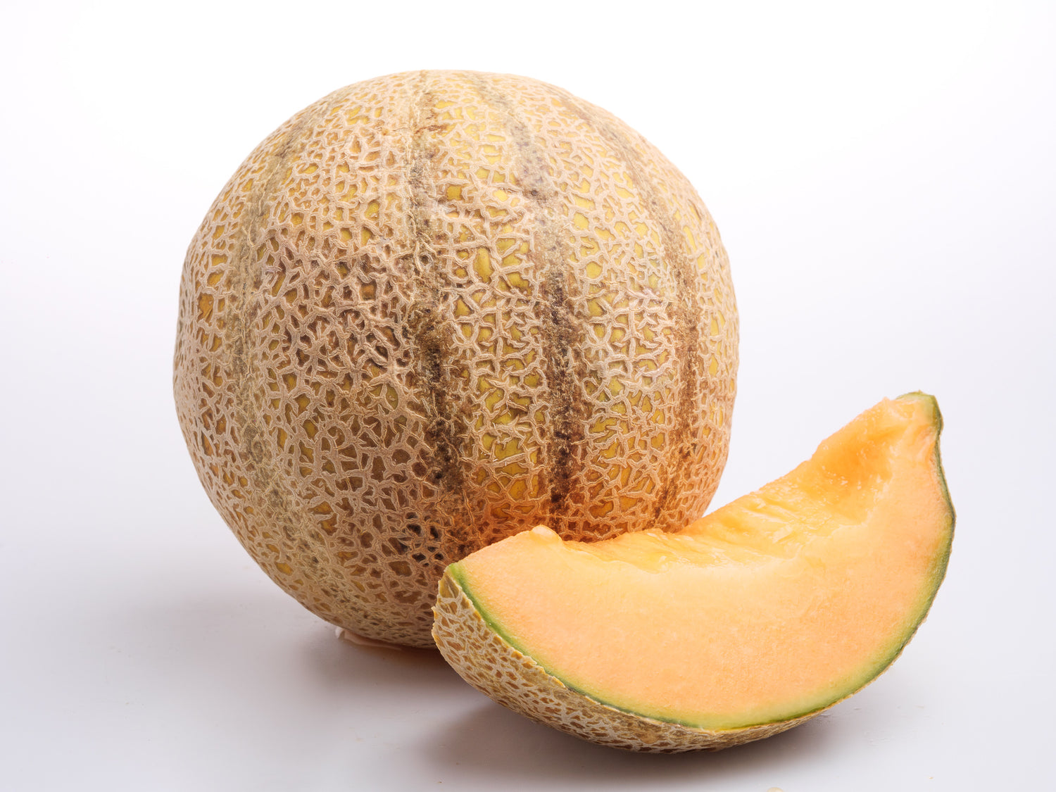 Galia Melon (Cucumis melo)