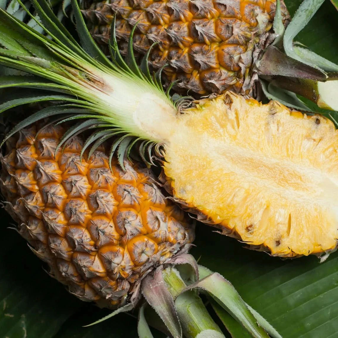 Queen Victoria Pineapple Fruit Seeds for Planting -Variety for Unique Pineapples in Your Yard, Heirloom Seeds