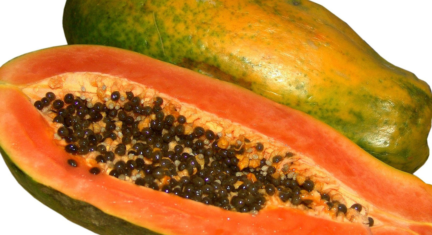 Papaya (Carica papaya) Seeds