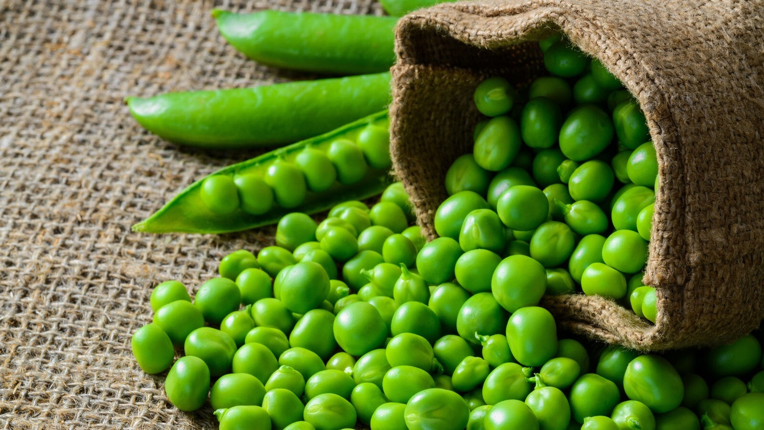 Green Arrow Pea Seeds