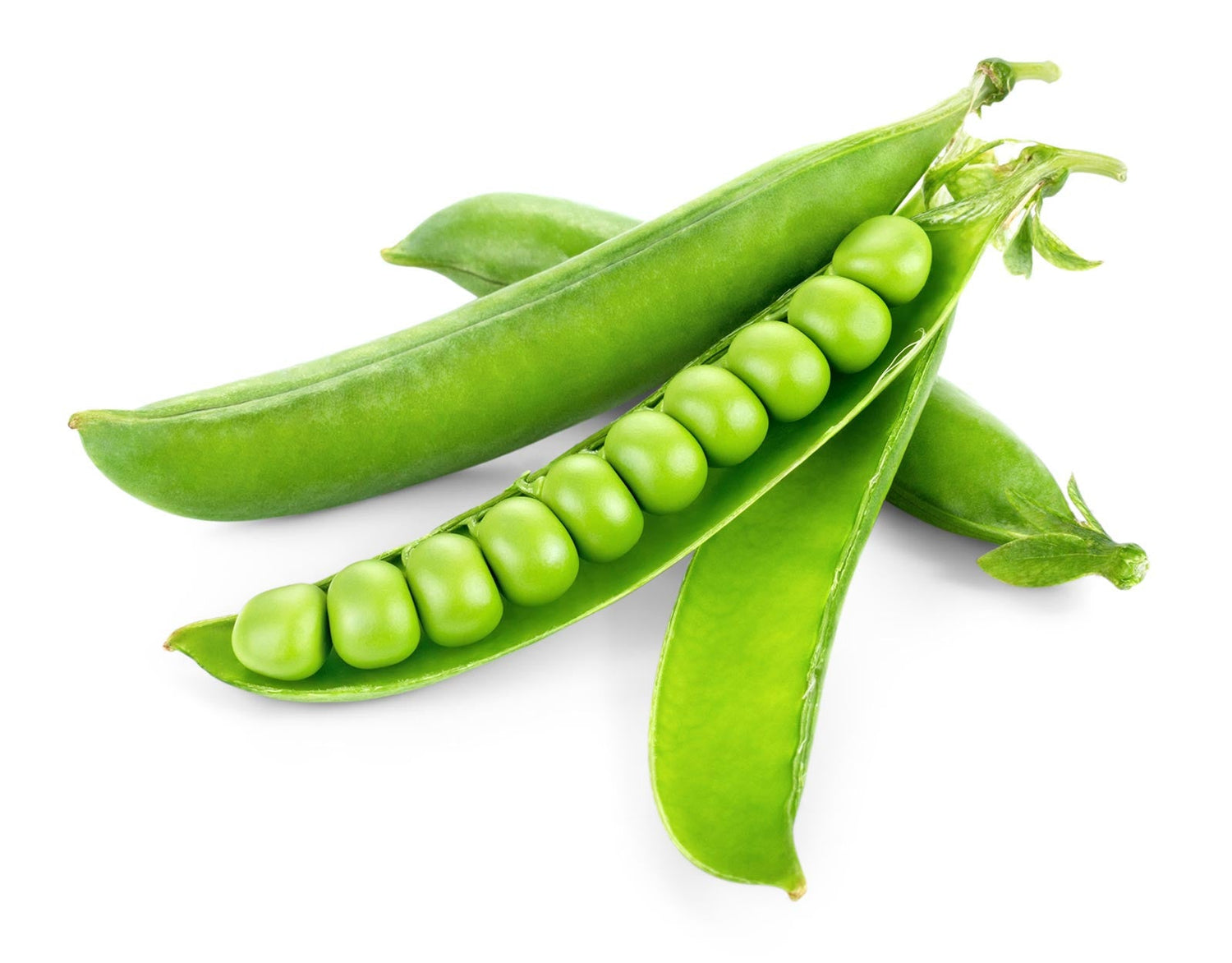 Green Arrow Pea Seeds