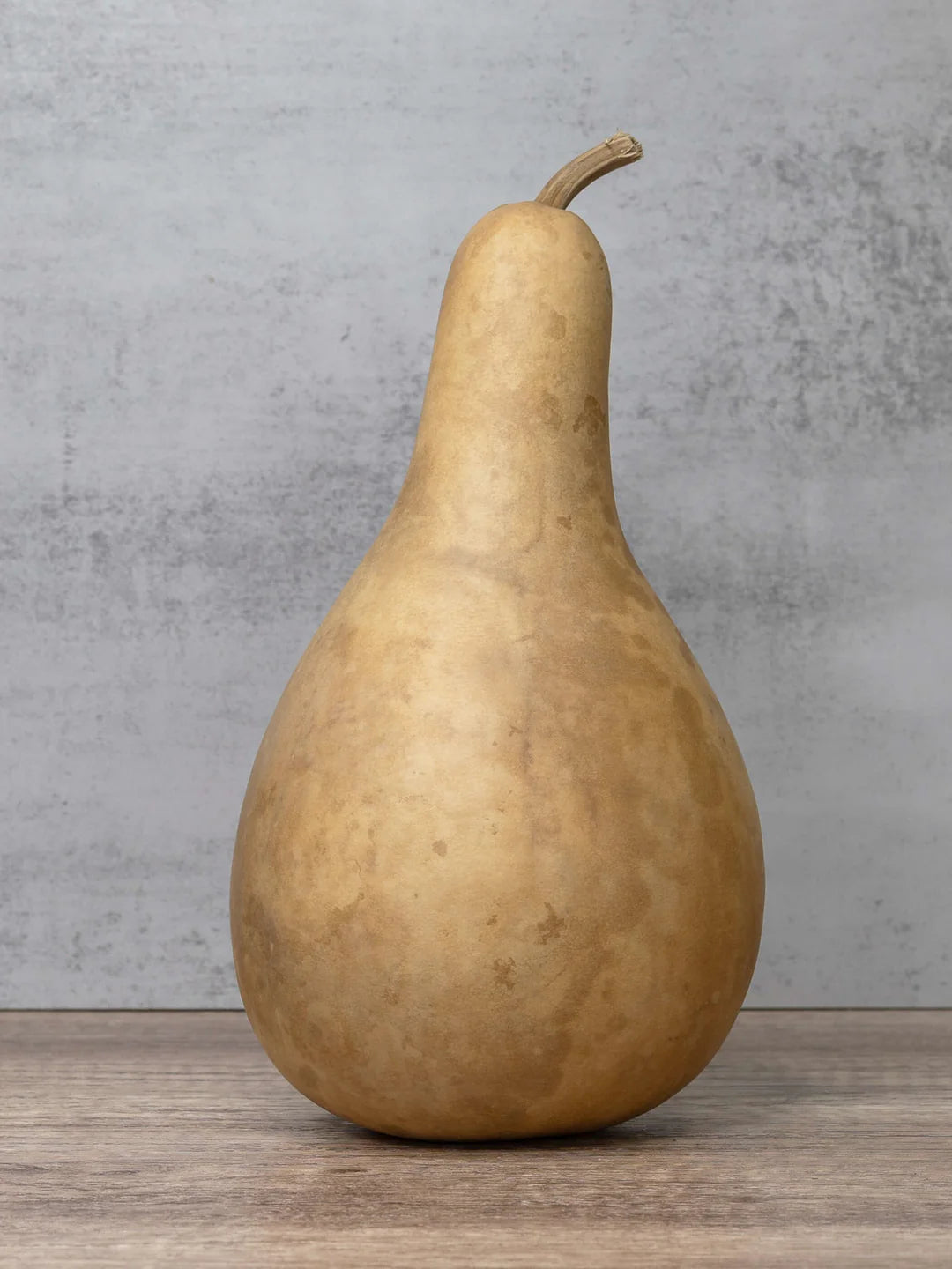 Penguin Gourd Seeds Heirloom Non-GMO High Germination Organic Garden Seeds