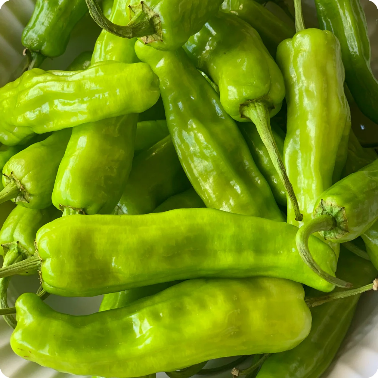 Pepperoncini Vegetable Heirloom & Non-GMO Seeds for planting