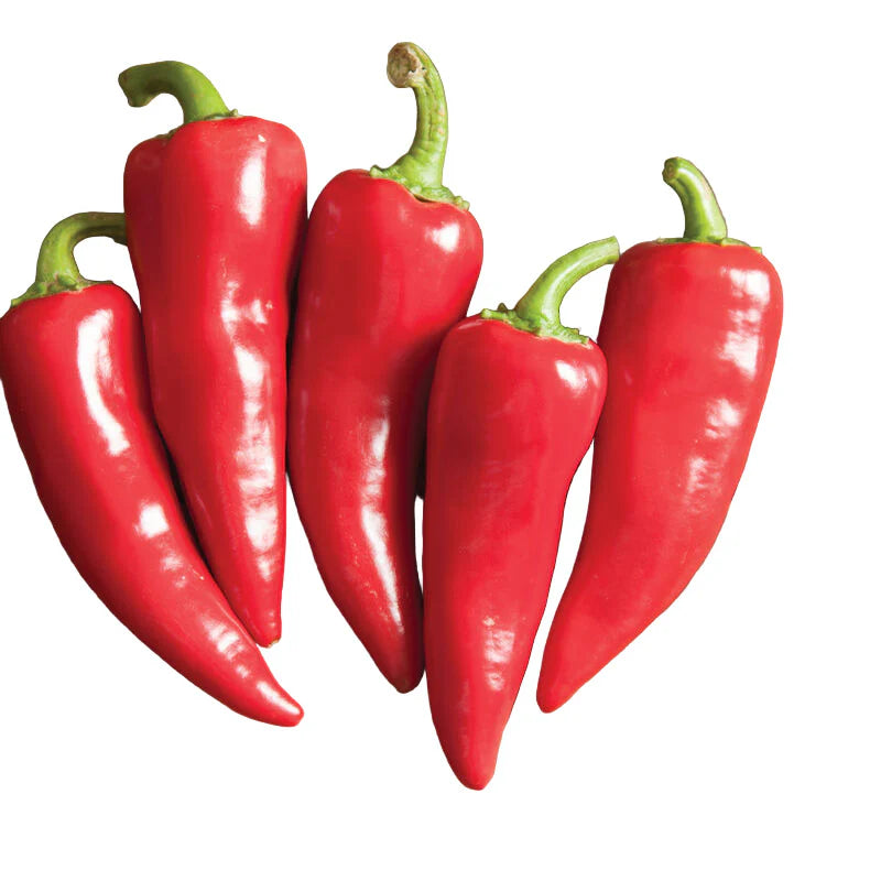 Flaming Flare Hybrid Pepper Seeds | Red Sweet-and-Heat Piquillo-Type Peppers – Heirloom, Non-GMO, High Germination Organic Garden Seeds