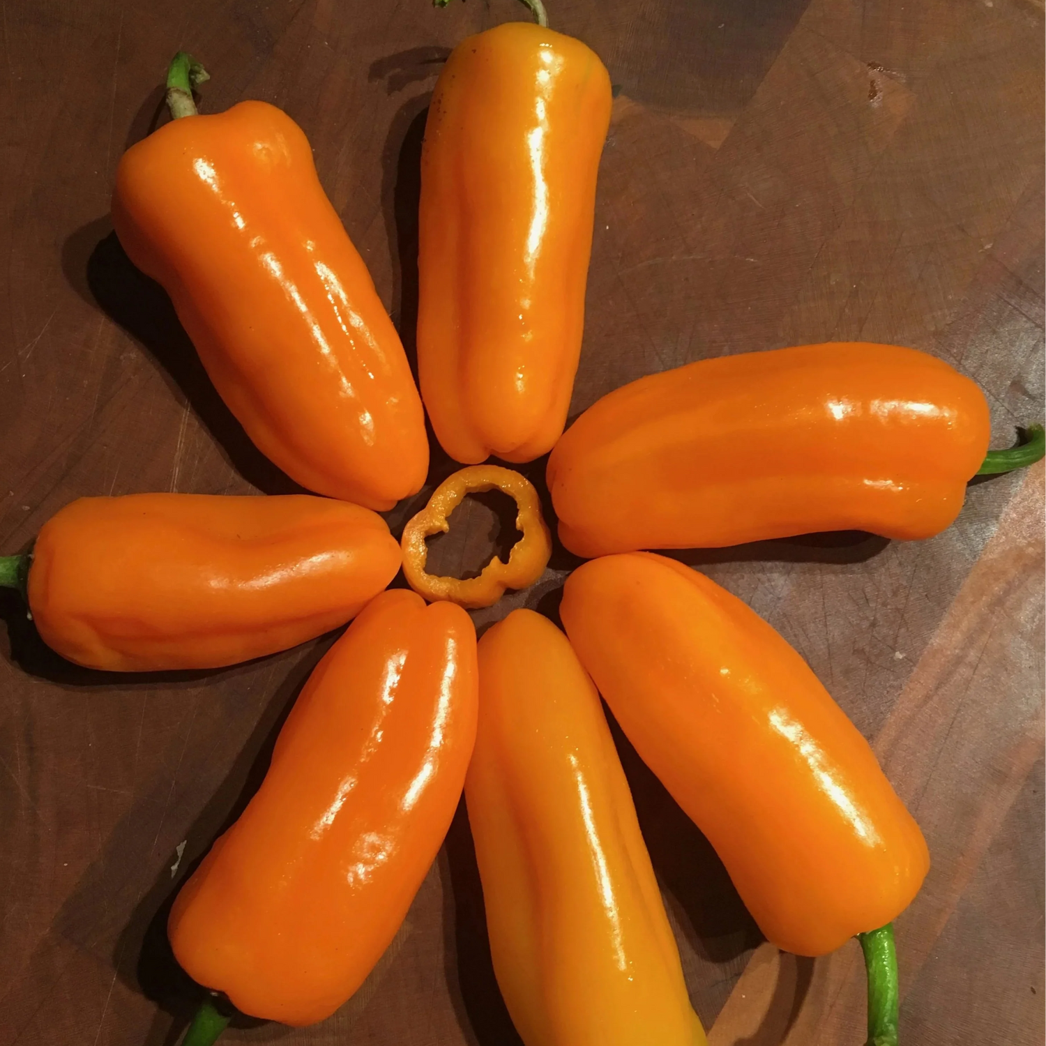 Oranos Organic Pepper Seeds | Early Sweet Orange Snack Peppers – Heirloom, Non-GMO, High Germination Organic Garden Seeds