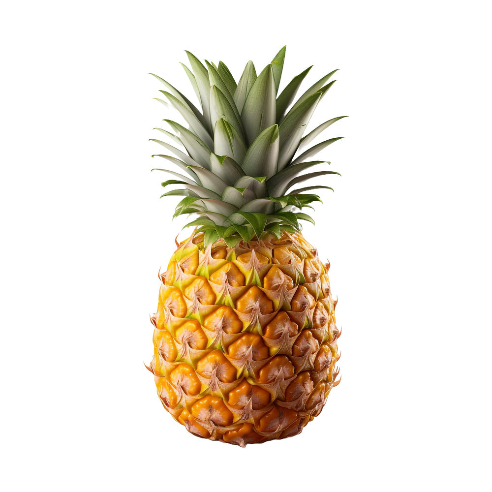 Pineapple (Ananas comosus) – Sweet & Tropical Fruit for Refreshing Snacks