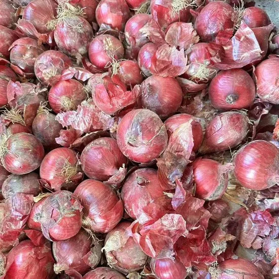 Pink Short To Medium Day Type Hybrid Onion For Sowing heirloom non-gmo organic garden seeds