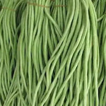 Premium Adaptable Cow Pea For Global Distribution heirloom non-gmo organic garden seeds