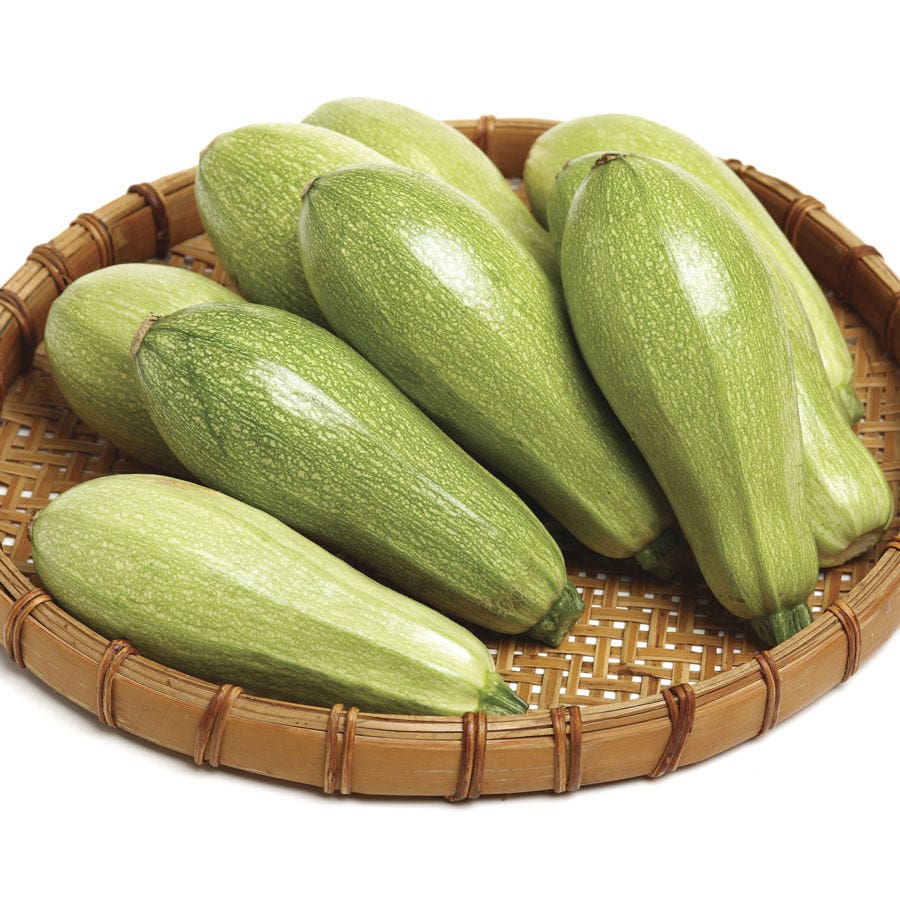 Magda Hybrid Squash Seeds – Heirloom, Non-GMO, High Germination Organic Garden Seeds