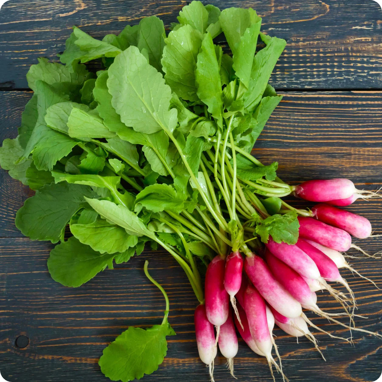 Radish Green Meat Vegetable Seeds for Planting