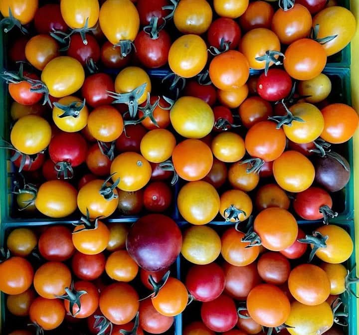 Heirloom Mixed Colour Rainbow Cherry Tomato Seeds for Planting - Non-GMO Garden Seeds