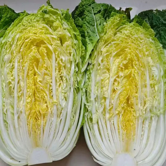 Reliable Chinese Cabbage That Resist Bolting Effectively – Heirloom, Non-GMO, High Germination Organic Garden Seeds