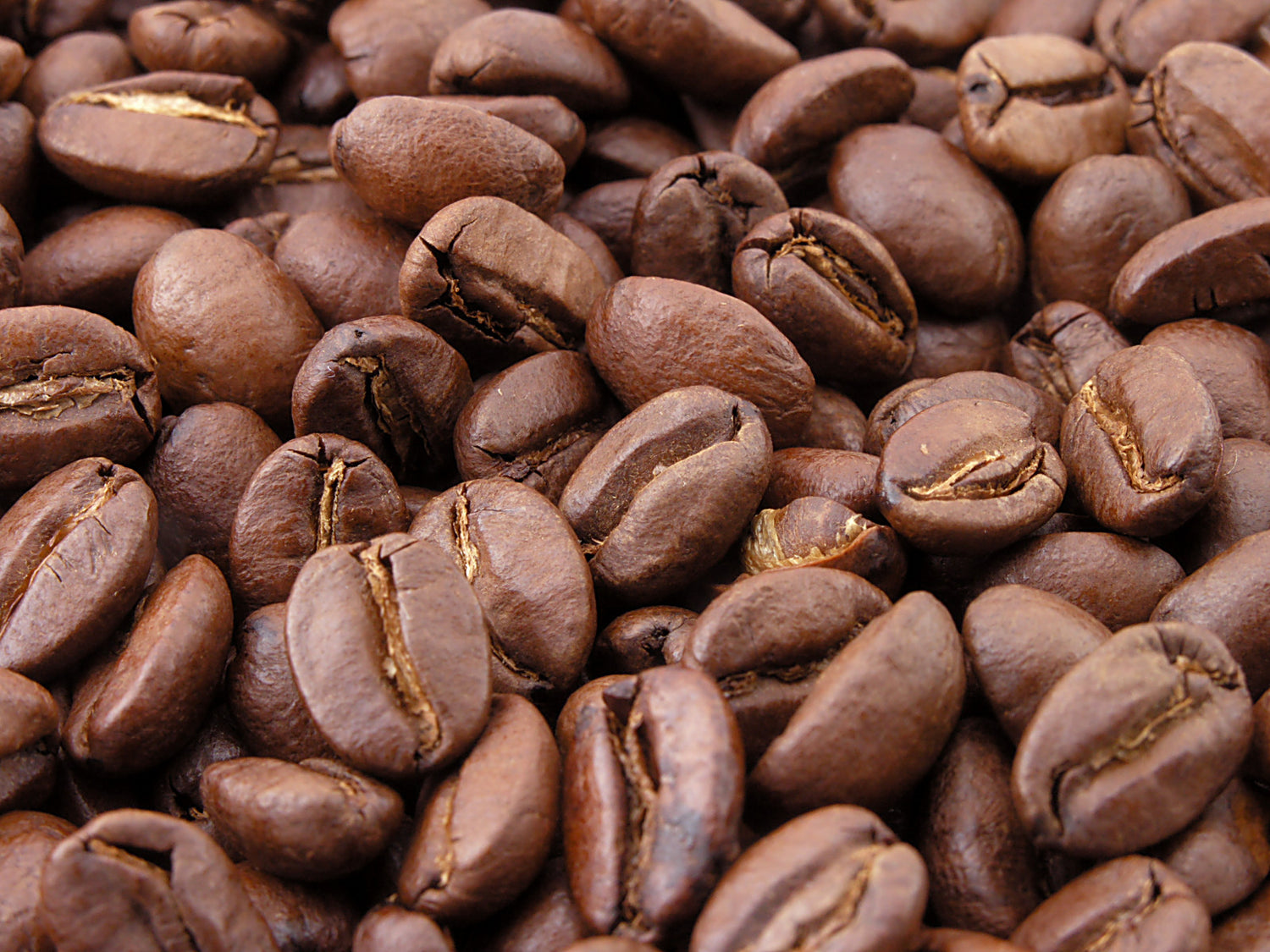 Coffee Seeds