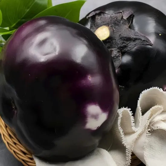 Round Shape Good Transportability Hybrid Eggplant heirloom non-gmo organic garden seeds
