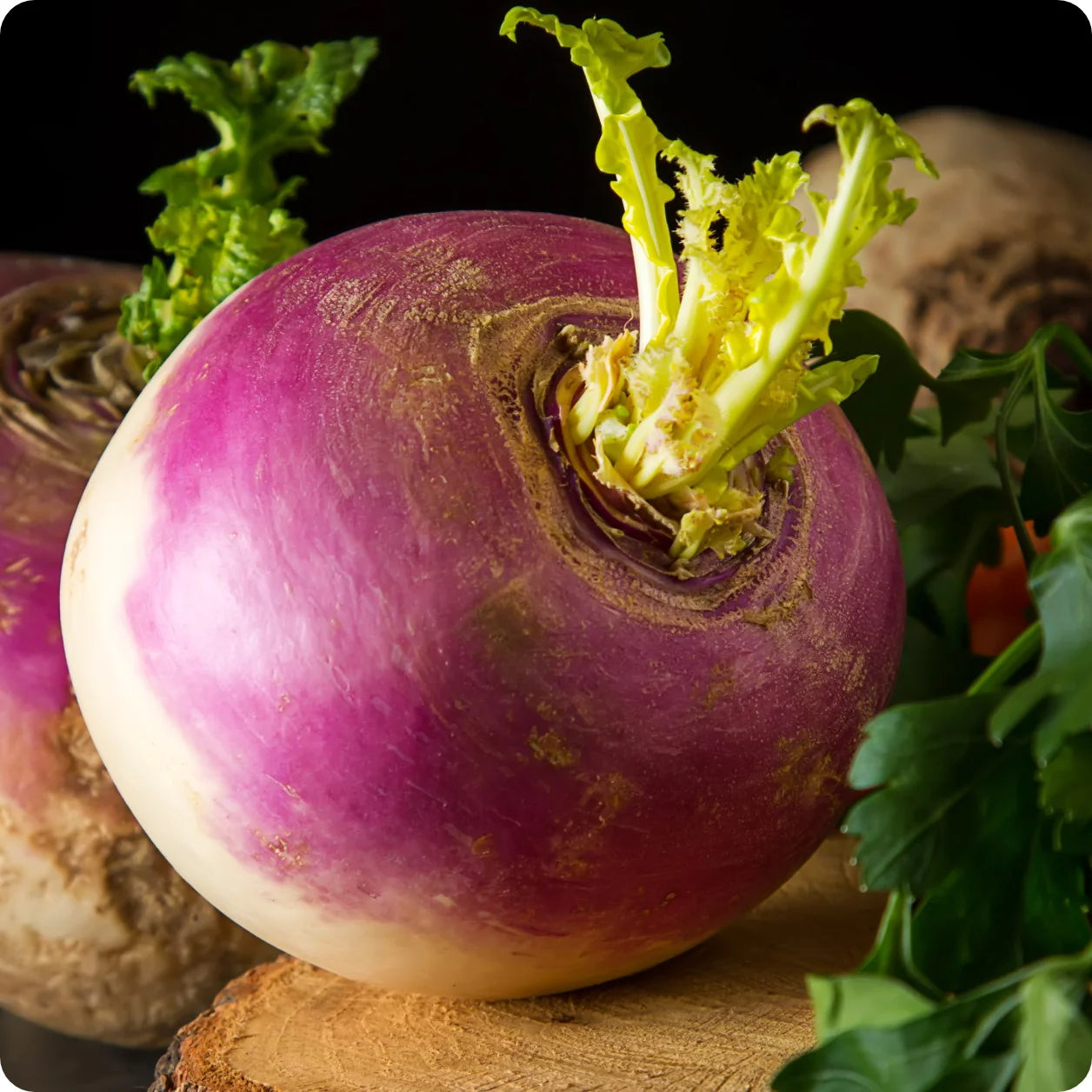 Rutabaga 'American Purple Top' Seeds for Garden and Container Planting