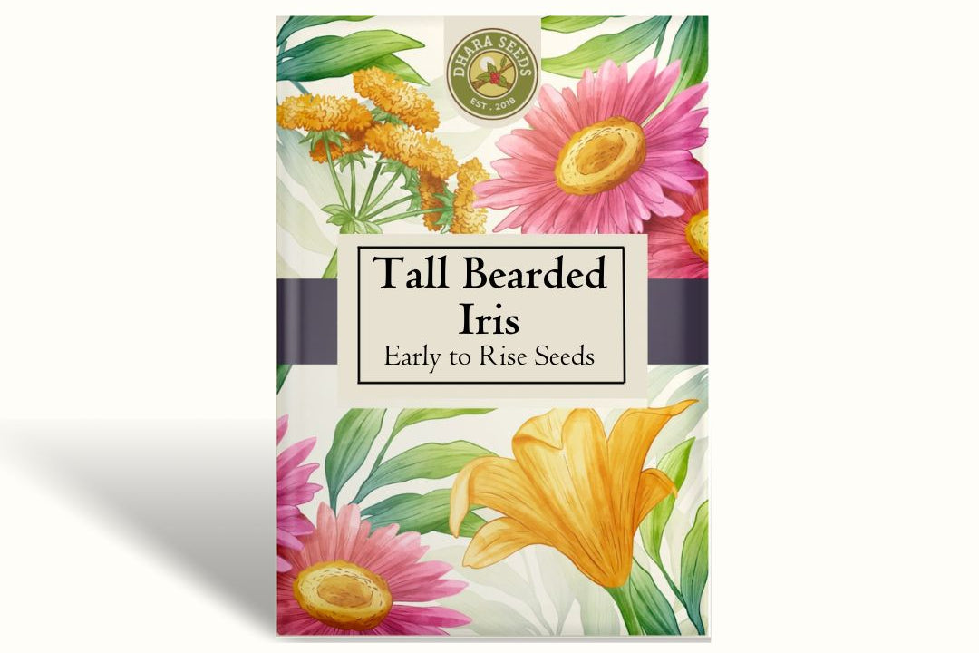 Early to Rise Tall Bearded Iris Seeds