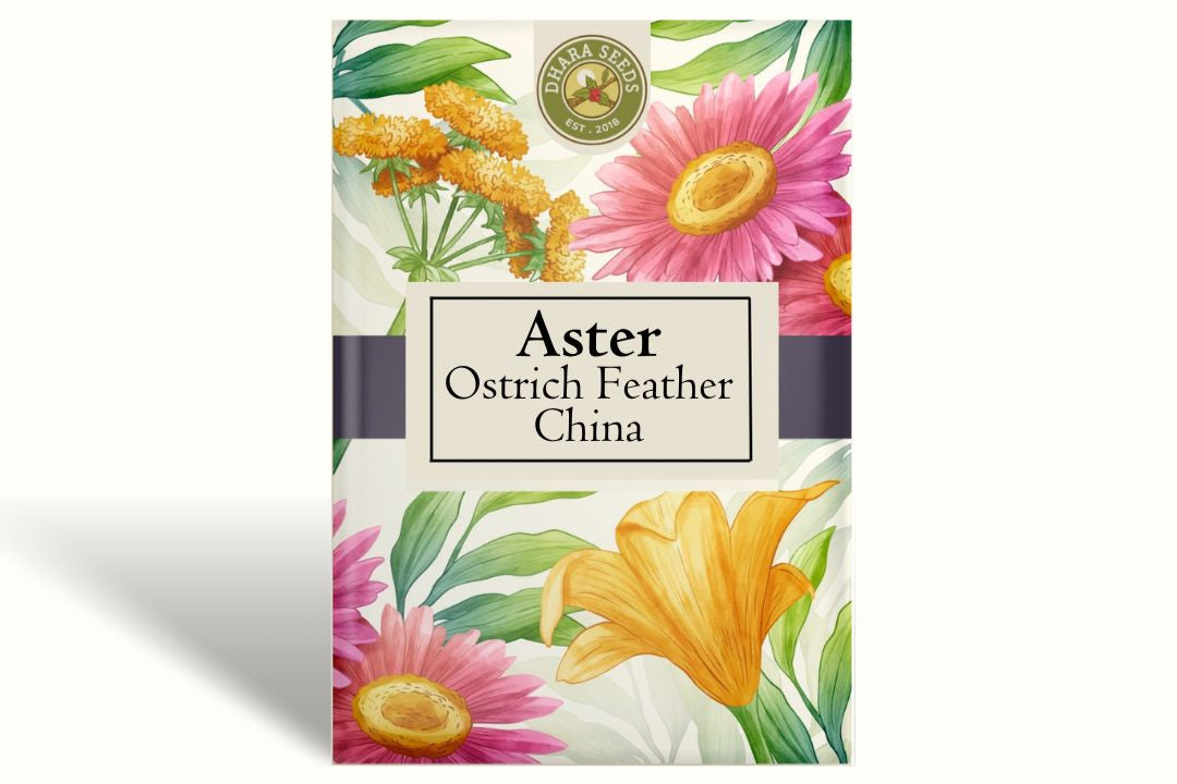 Ostrich Feather China Aster