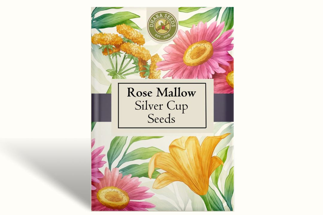 Rose Mallow Silver Cup Seeds