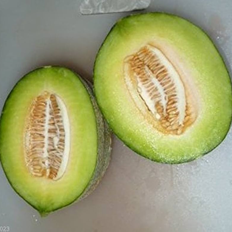 Sliced Santa Claus Melon with white, sweet flesh, ready to eat, Best Melon Seeds