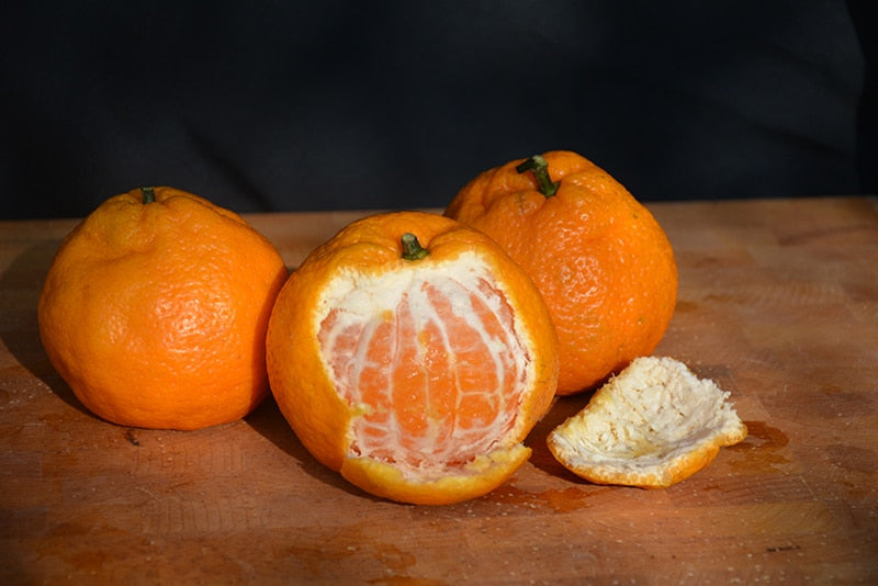 Satsuma – Sweet and Juicy Japanese Citrus Fruit