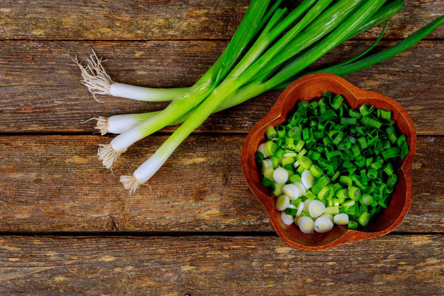 Heshiko Japanese Bunching Green Onion Seeds