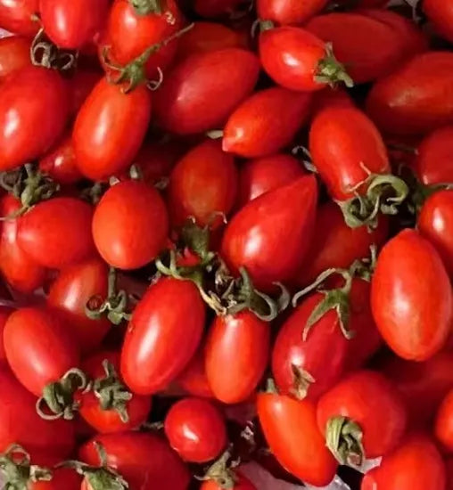 Semi Determinate Mid Early Maturity, Long Oval Shape Tomato heirloom non-gmo organic garden seeds